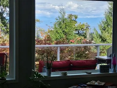 View 13
