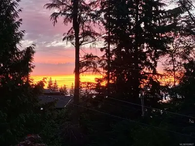 View 47
