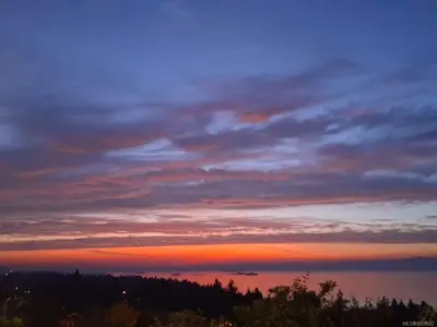 View 43
