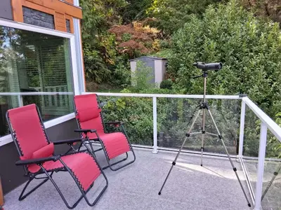 View 1