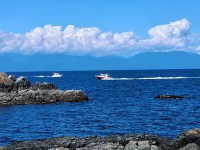 View 51