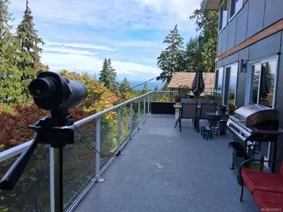 View 15