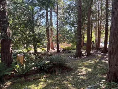 View 30