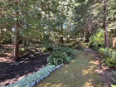 View 29