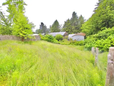 View 15