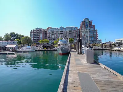 View 50