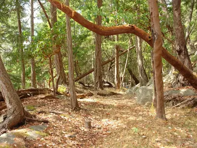 View 7