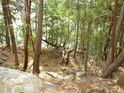 View 5
