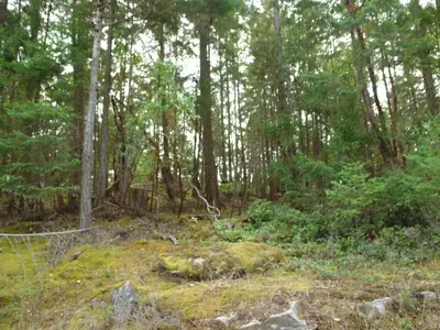View 8