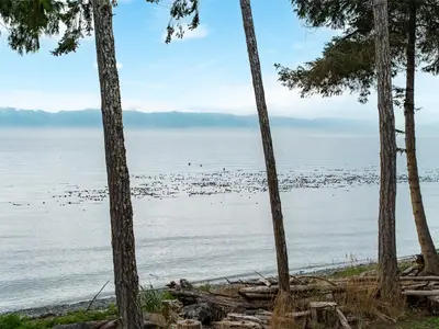 View 47