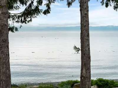 View 48