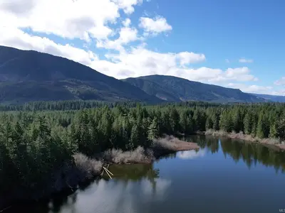 View 12