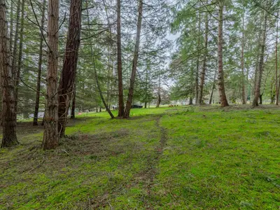 View 22