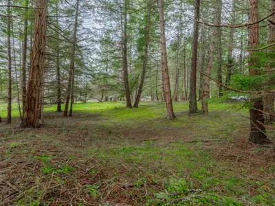 View 21