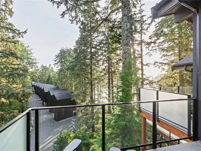 View 31