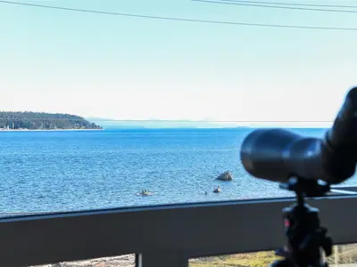 View 2