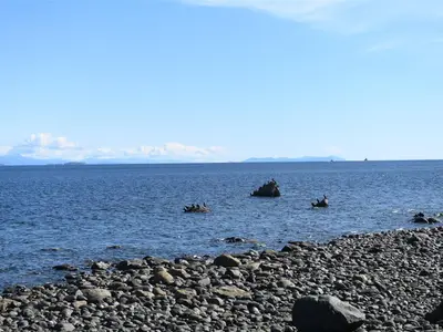 View 30