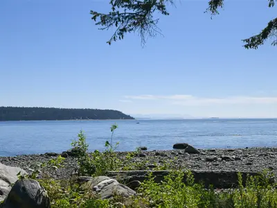 View 31