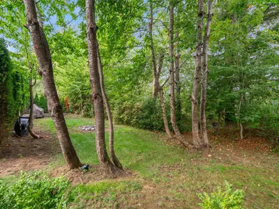 View 52