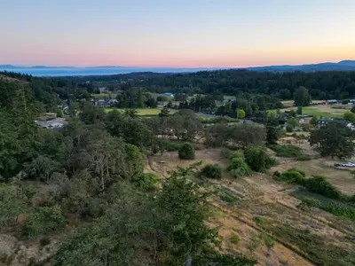 View 49