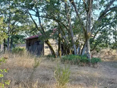 View 41