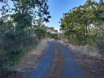 View 37