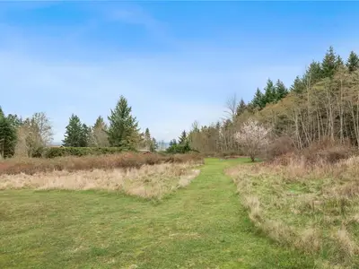 View 33