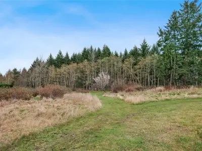 View 31