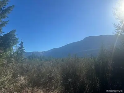 View 6