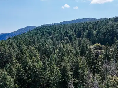 View 16