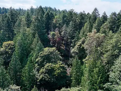 View 10