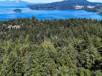 View 11