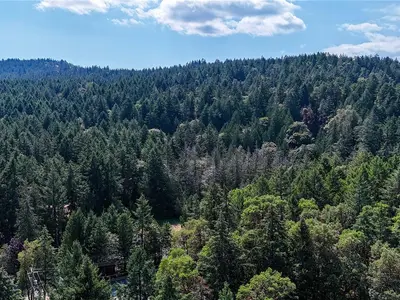 View 27