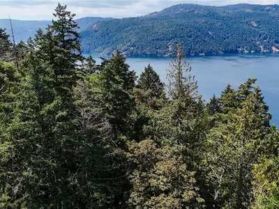 View 6