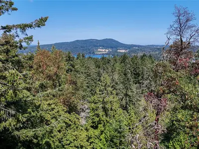 View 31