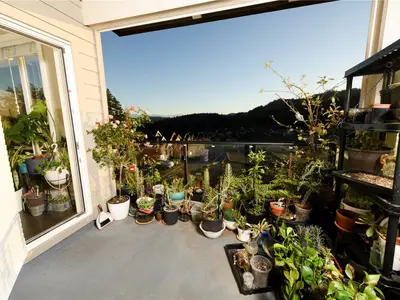 View 6