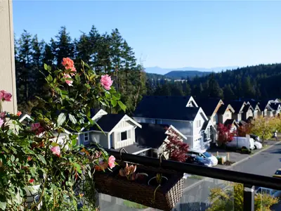 View 1