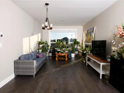 View 14