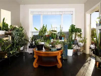 View 18