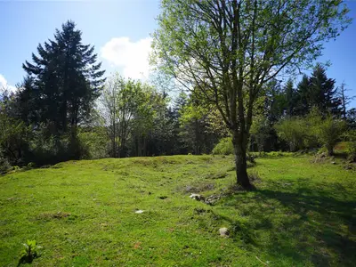 View 13