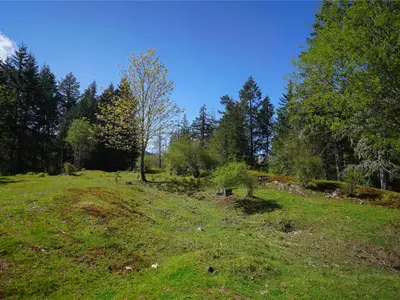 View 12