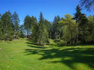 View 3