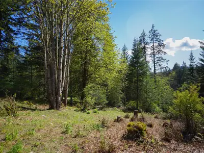 View 15