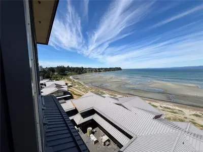 View 50