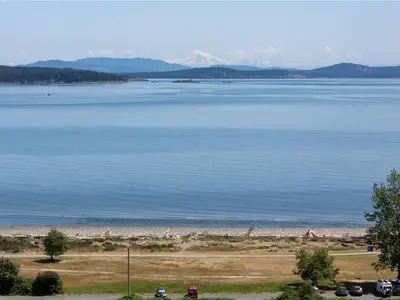 View 12