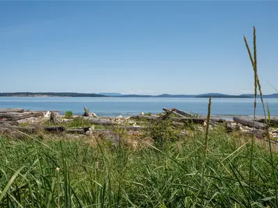View 14