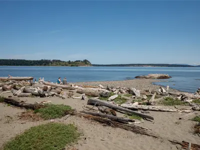 View 18