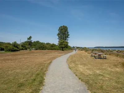 View 15