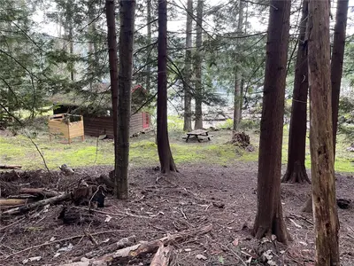 View 43
