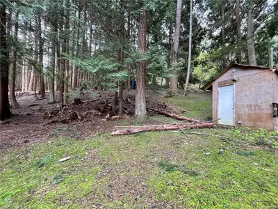 View 38